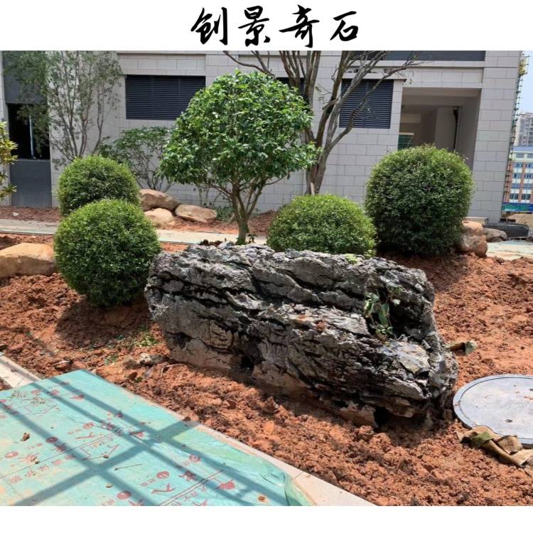 🌸新浪电影【新澳门精准资料大全管家婆料】-洋葱的种植方法和时间