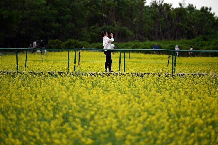 🌸豆瓣电影【新澳门一码一肖一特一中】-商州区区长支朝奇：鼓干劲凝心力加快推进生态景区建设