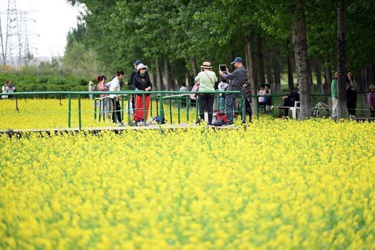 🌸芒果影视【新澳彩资料免费长期公开930期】-张家界青岗旅游攻略图片大全 ,实用不踩雷  第4张