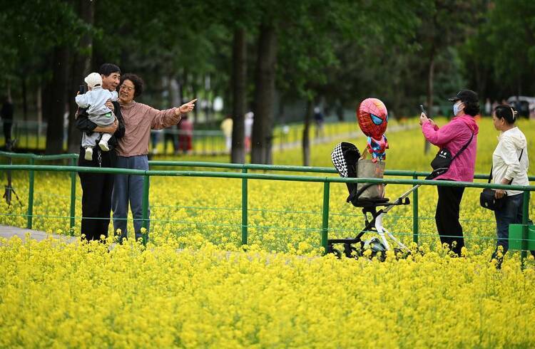 🌸豆瓣电影【新澳门一码一肖一特一中】-3月22日基金净值：银华信用四季红债券A最新净值1.0928，涨0.02%  第2张