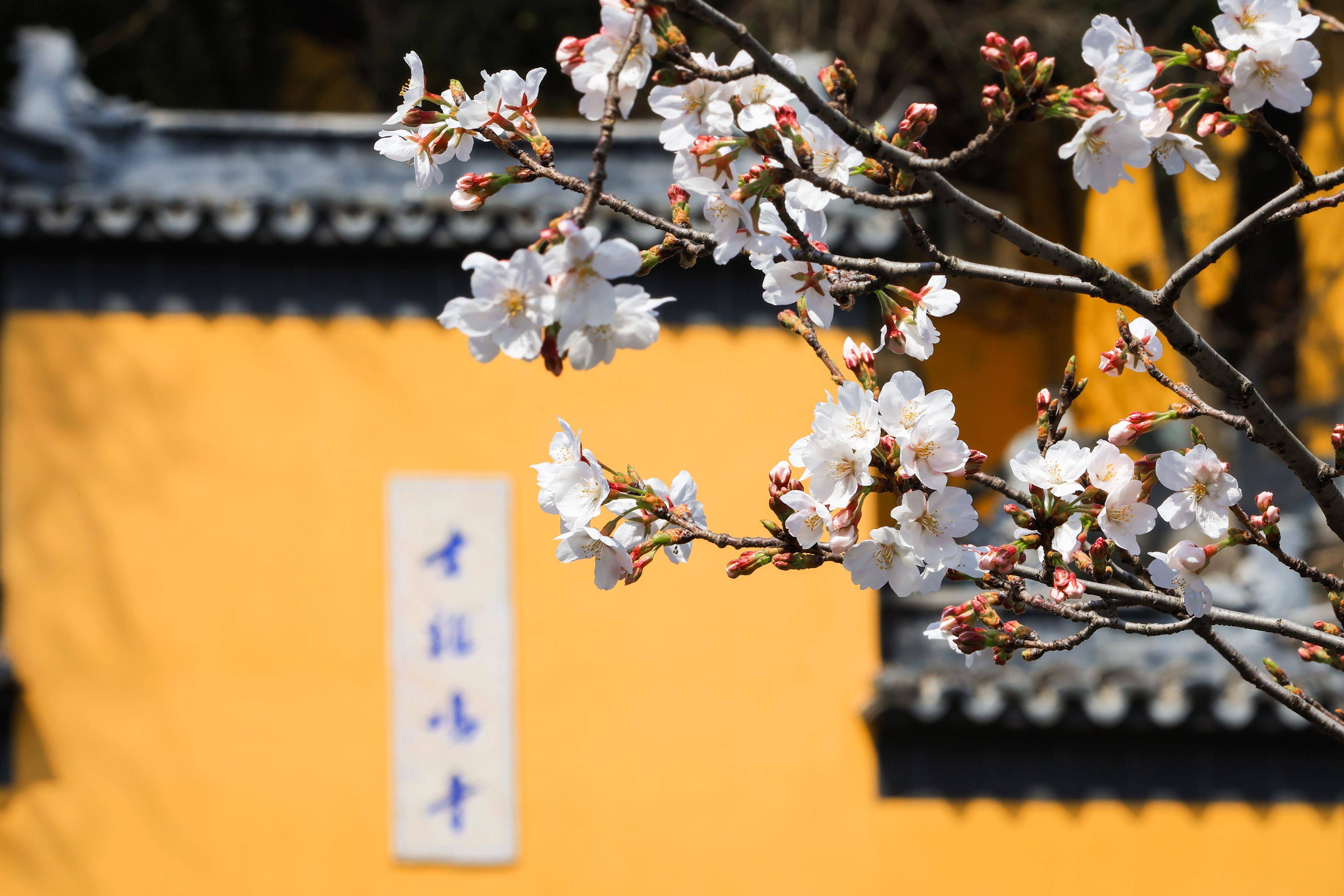 🌸影视风云【2024澳门资料大全正版资料】-女星李沁和乔欣同晒雪景写真，哪个拍得好看  第4张