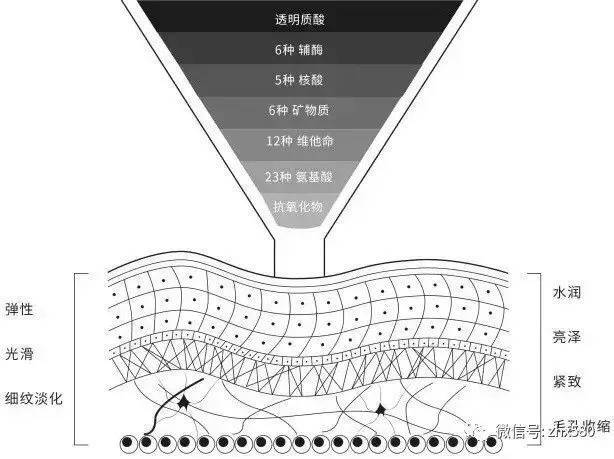 🌸美团【2023管家婆资料正版大全澳门】-夏日番禺的“凤凰”传奇，花开满枝头！  第2张