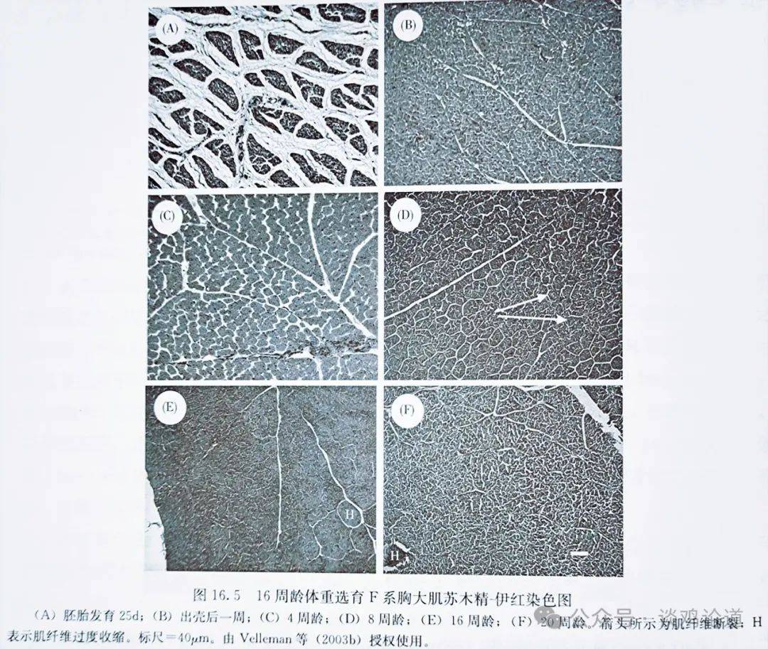 🌸猫扑电影【2024澳门资料大全正版资料】-文明窗口月丨“海上红枫桥”护航海上风电产业链高质量发展  第2张