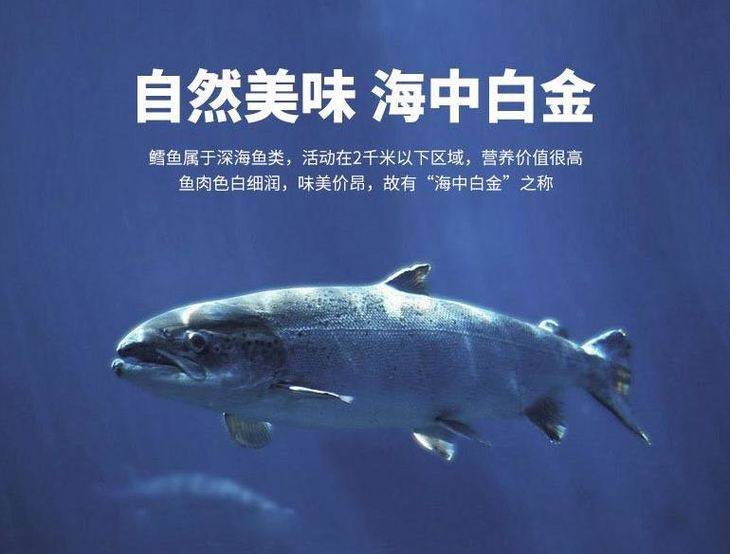 🌸影视风云【2024澳门资料大全正版资料】-参军好，还是考大学好？  第1张