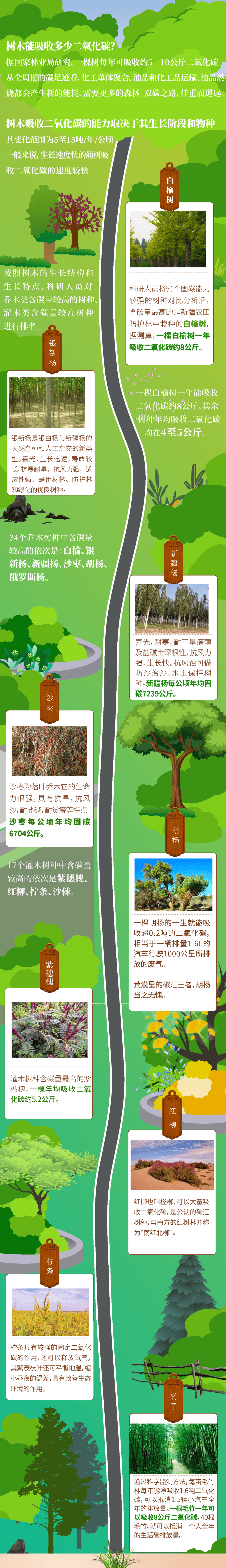 🌸新华网【新澳彩资料免费资料大全】-葛树春：公平正义的种子应在每个人心中生根发芽  第3张