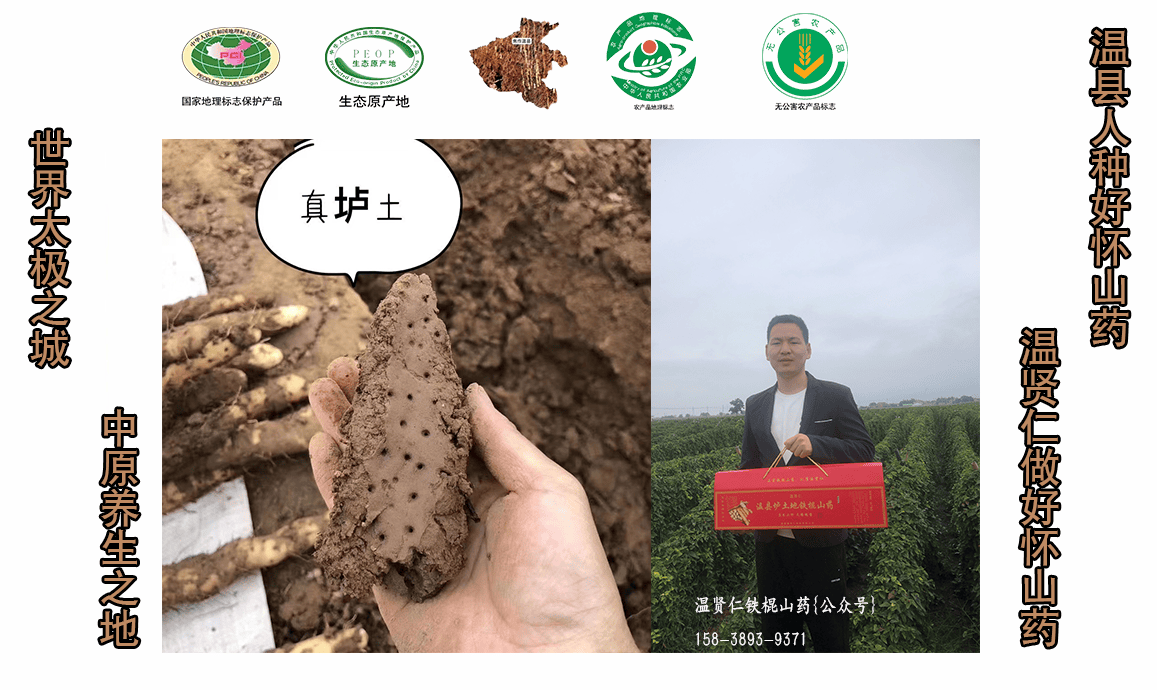 🌸豆瓣电影【新澳门一码一肖一特一中】-中央5台直播跳水时间表：24号CCTV5直播全红婵女单10米台决赛吗？