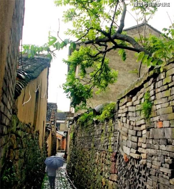 🌸京东【最准一肖一码一一子中特】-全球最大樱花基地，竟在中国！比日本绝美，即将花开成海，居然免费！  第4张