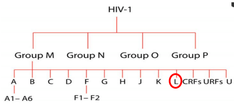 🌸快手短视频【2024新澳门正版免费资料】-古人说五树进宅，人穷家败，指的是哪五种树，寓意是什么？