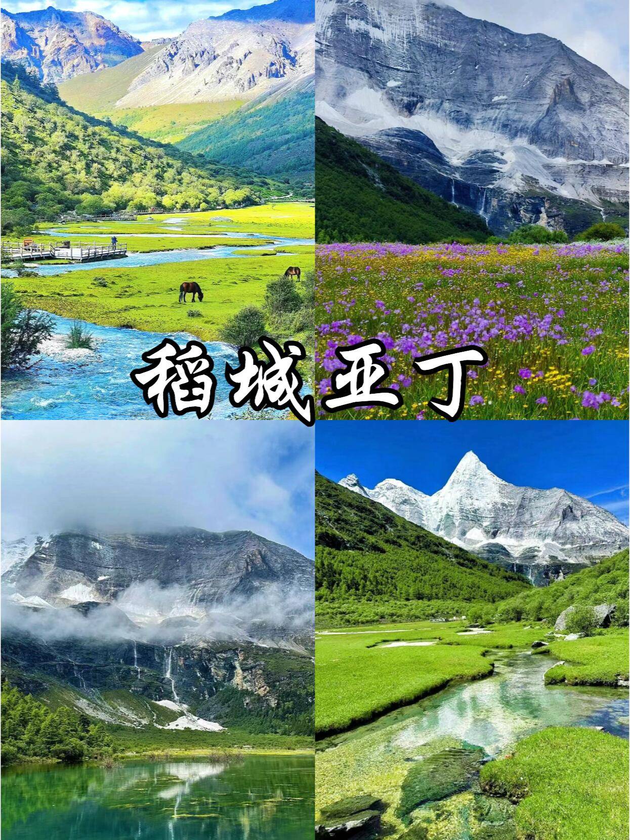 🌸新浪电影【新澳门精准资料大全管家婆料】-升级家居安全，华为智能门锁系列是你智能生活的首选