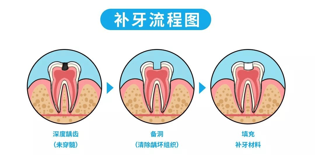 🌸网易云音乐【澳门资料大全正版资料2024年免费】-新手养山羊好还是绵羊好？  第2张