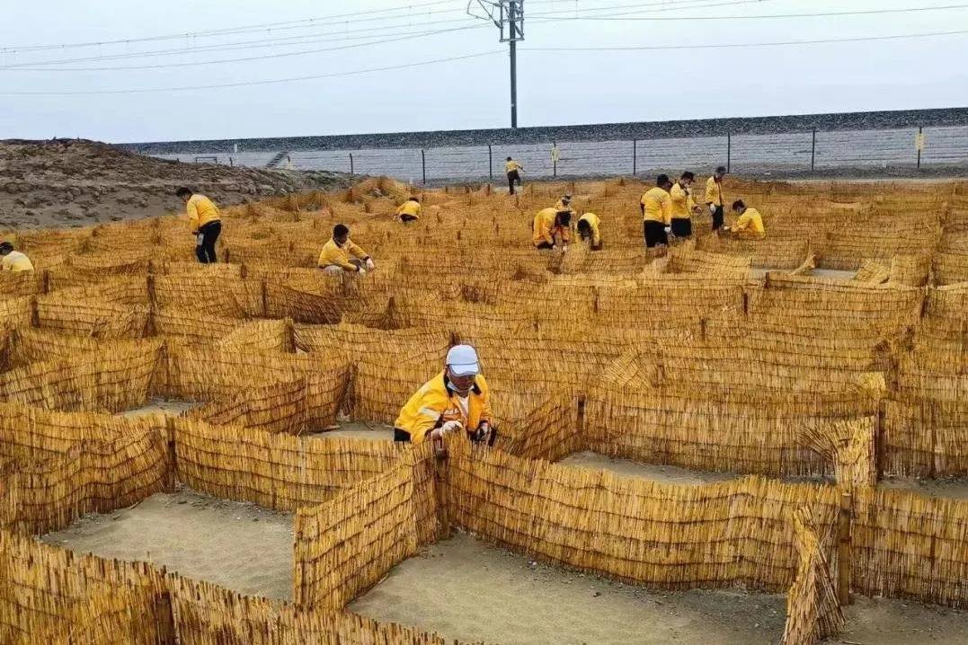 🌸快手短视频【管家婆一码一肖100中奖】-徐树铮暗杀了陆建章，其中的恩怨是什么  第3张