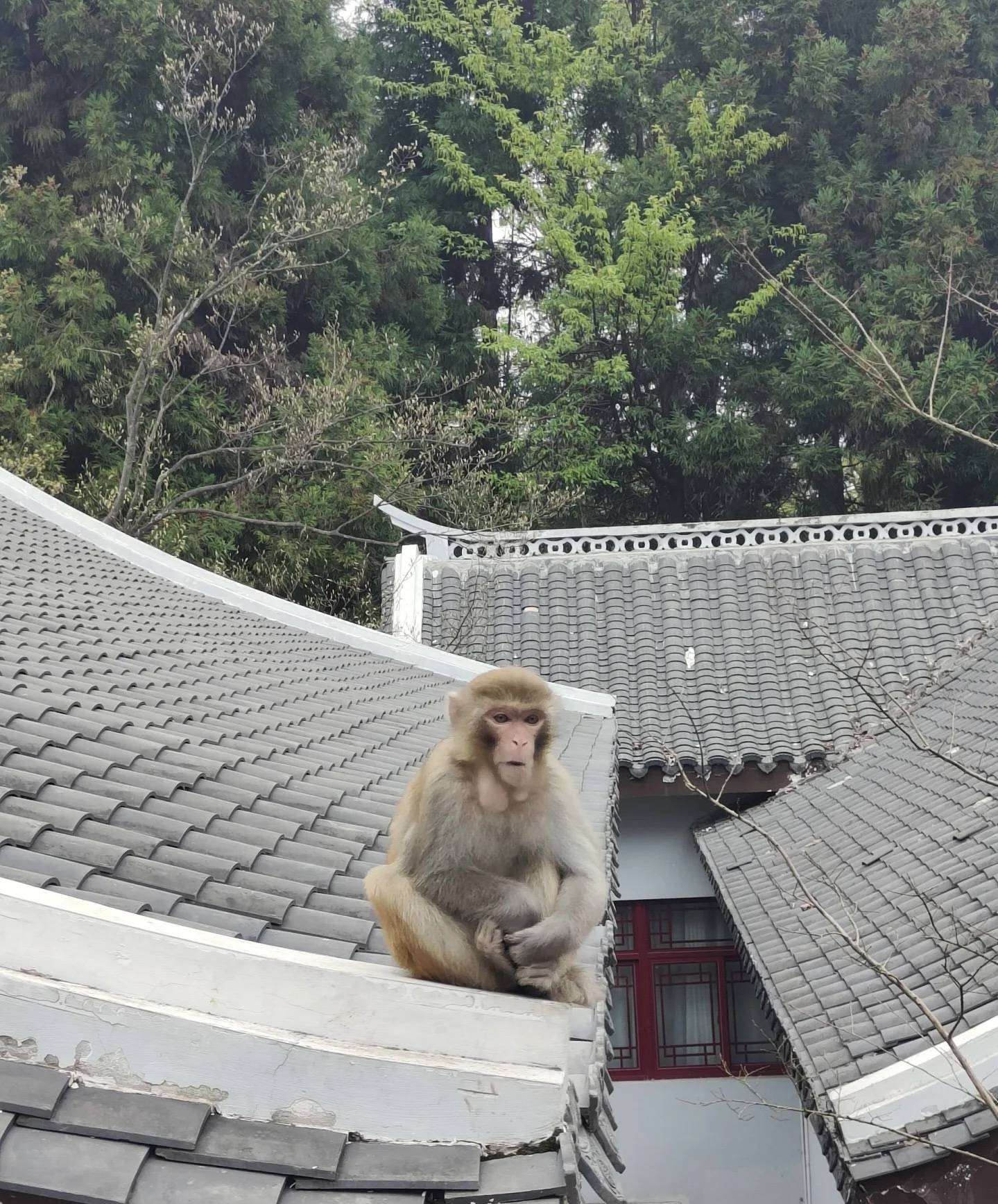 🌸快手短视频【管家婆一码一肖100中奖】-一文搞懂大疆机场kmz航线和图新地球导出的kmz的区别  第5张