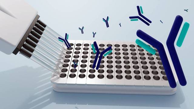 🌸趣头条【2024澳门特马今晚开奖】-都知“盆景”养成老桩价值高，浇水“对了”成功一半，快来学一下