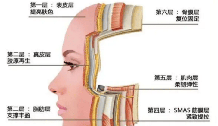 🌸环球网【2024澳门天天六开彩免费资料】-夏日番禺的“凤凰”传奇，花开满枝头！  第2张