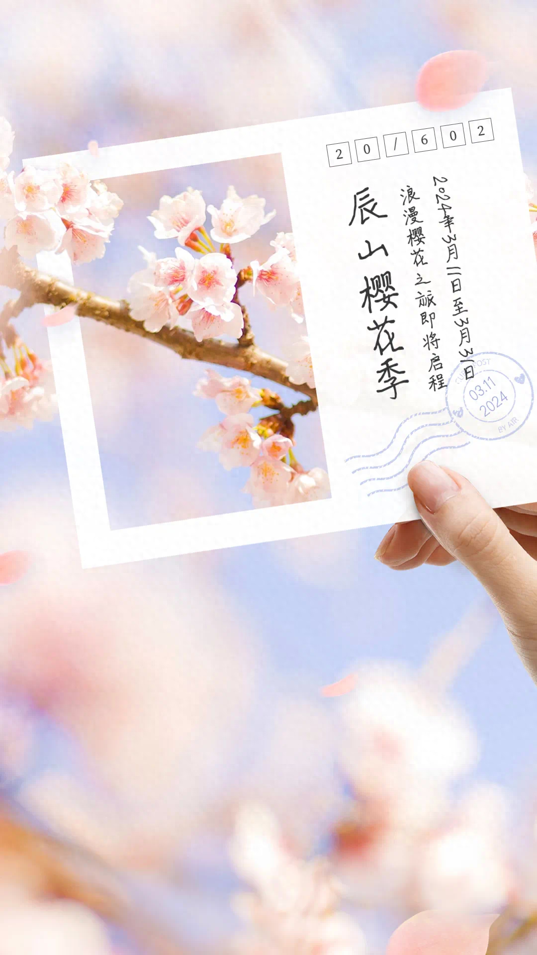 🌸趣头条【香港二四六开奖免费资料】-从美国进口樱花木清关的操作流程  第3张