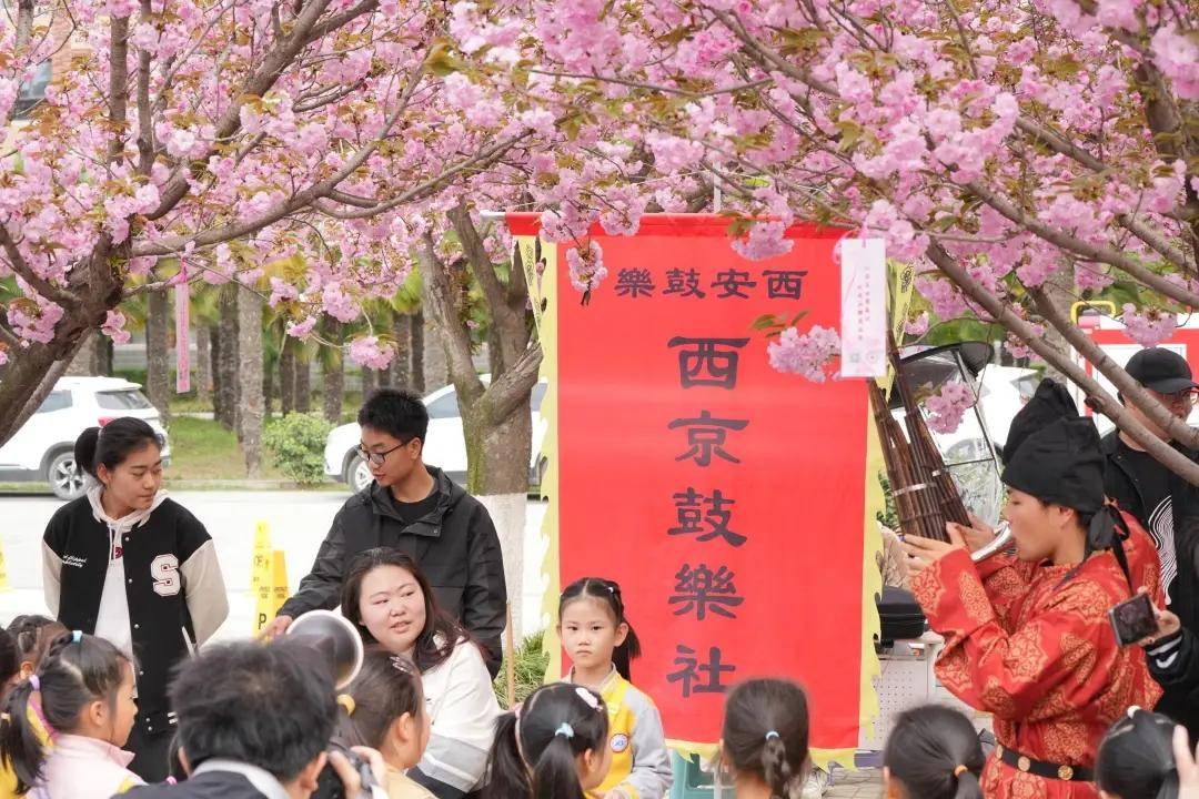 🌸京东【最准一肖一码一一子中特】-牵牛花的光照需求和生长速度：光与速度的舞蹈