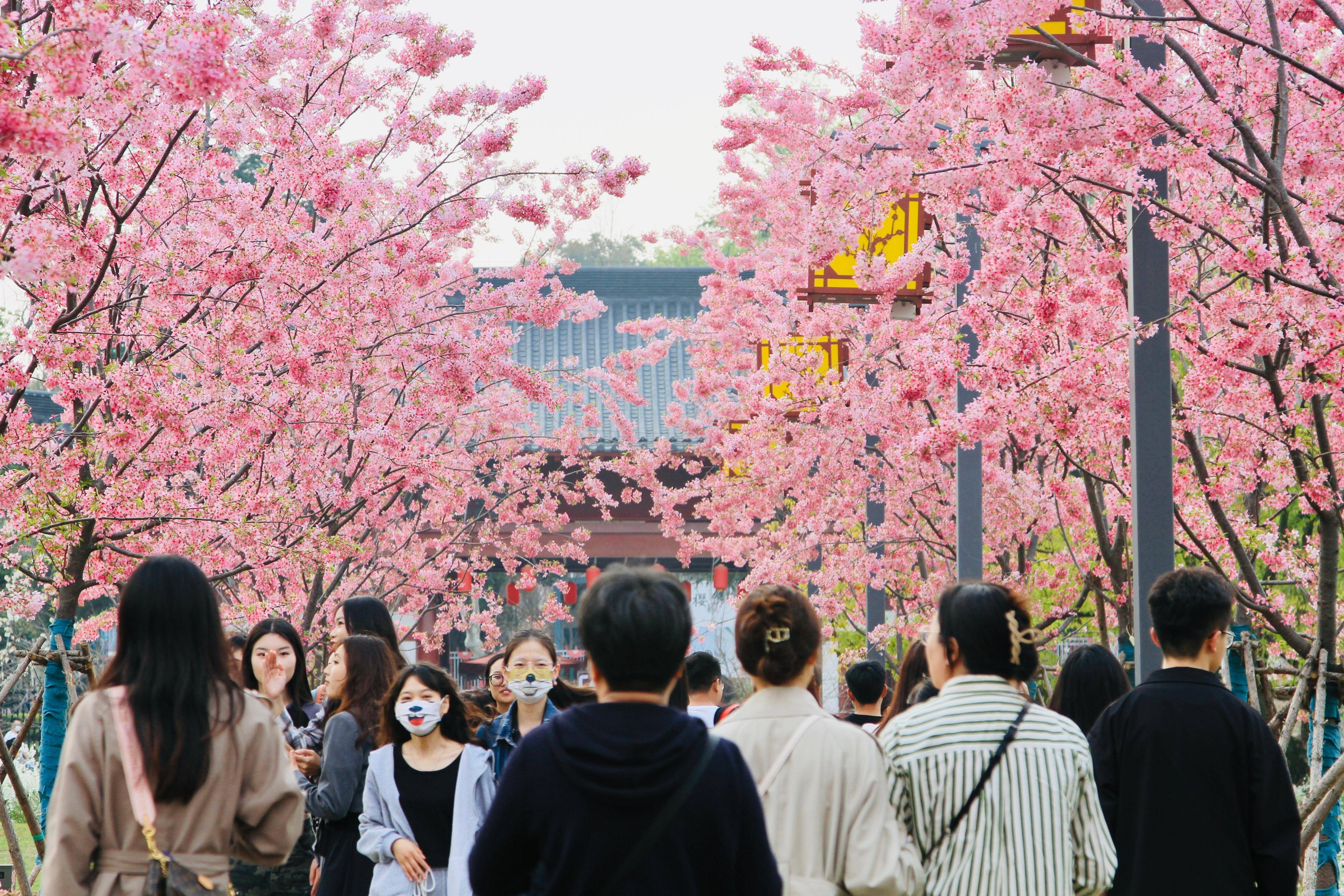 🌸新浪【494949澳门今晚开什么】-金道科技：钢材价格指数只是市场参考价格，不能直接作为公司协议价格的确定依据