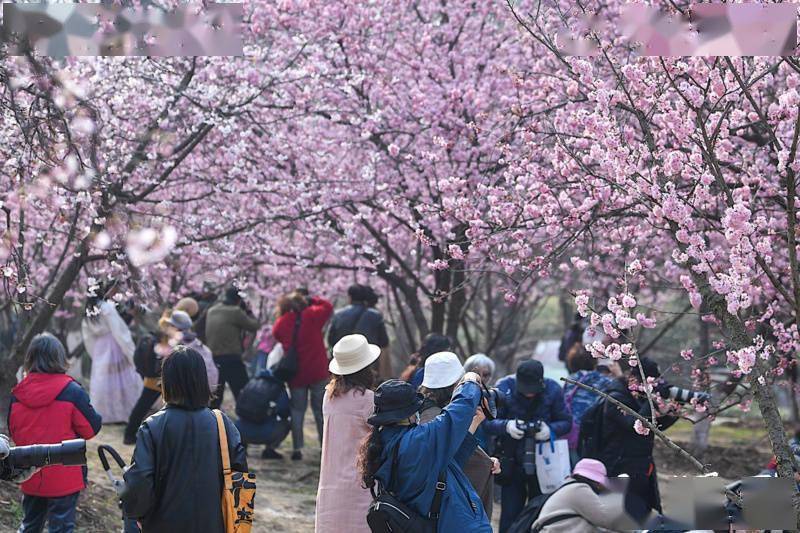 🌸豆瓣电影【新澳门一码一肖一特一中】-美国加州大学系统转学入读相关介绍