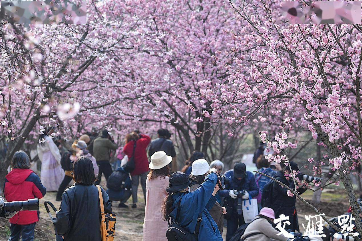 🌸网易视频【澳门一肖一码100准免费资料】-国槐19中·教育家书院迎来大咖开讲 詹大年：好的关系才是好的教育