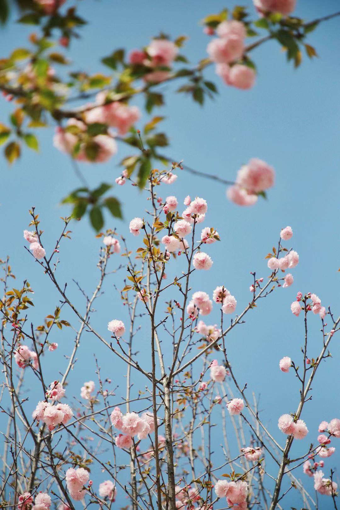 🌸影院365【管家婆一肖-一码-一中一特】-古代镖师到底是什么样的存在？  第4张