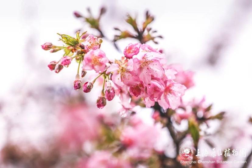 🌸澎湃新闻【澳门一码中精准一码免费中特  】-连通汾河四期，投资超2亿元！山西太原又一生态治理工程助力汾河景区北延  第2张