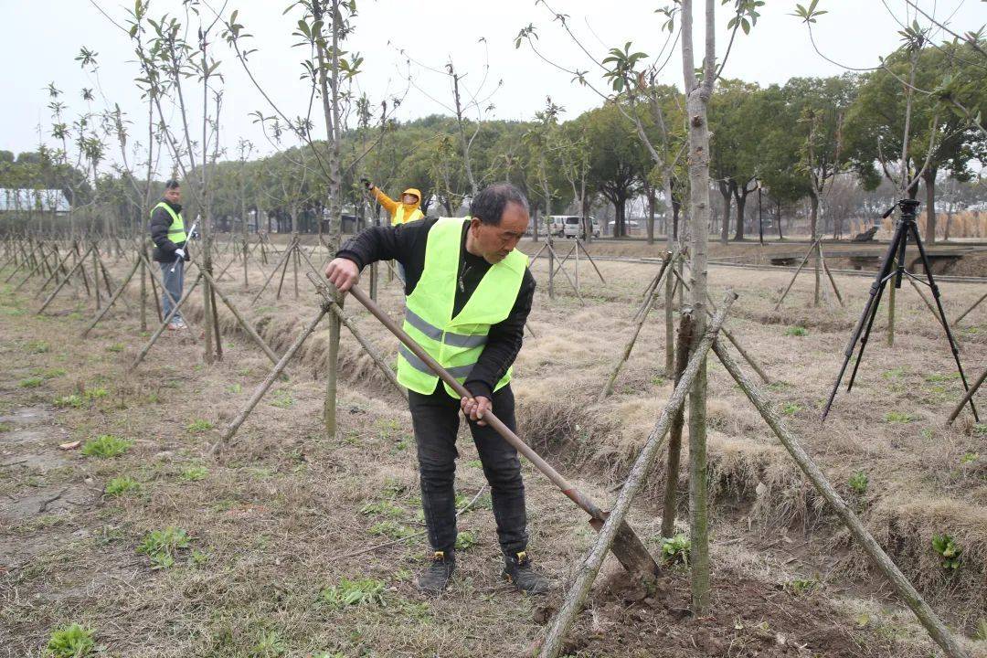 🌸凤凰视频【2024澳门天天开好彩大全】-建筑之花④：广州融创文旅城“木棉”花开书写岭南之美｜英雄花开英雄城  第2张