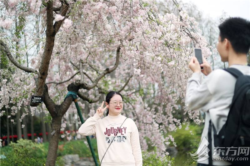 🌸网易视频【澳门一肖一码100准免费资料】-线槽和线管哪个好  第2张