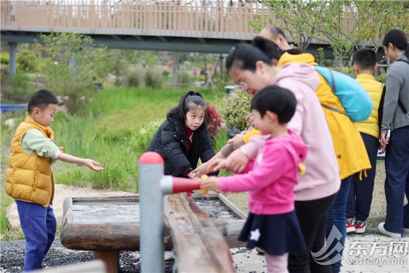 🌸趣头条【香港二四六开奖免费资料】-从美国进口樱花木清关的操作流程