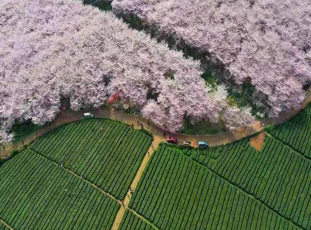 🌸谷歌【澳门管家婆一肖一码100精准】-一文搞懂大疆机场kmz航线和图新地球导出的kmz的区别