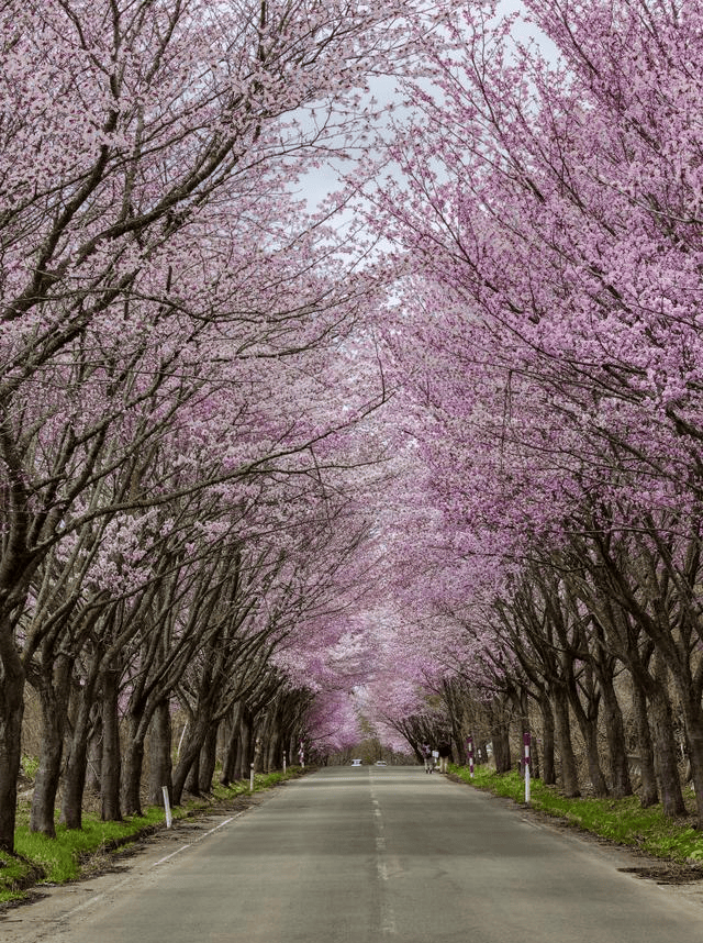 🌸影院365【管家婆一肖-一码-一中一特】-炒股致富？美国家庭2023年净资产156.2万亿美元创历史新高