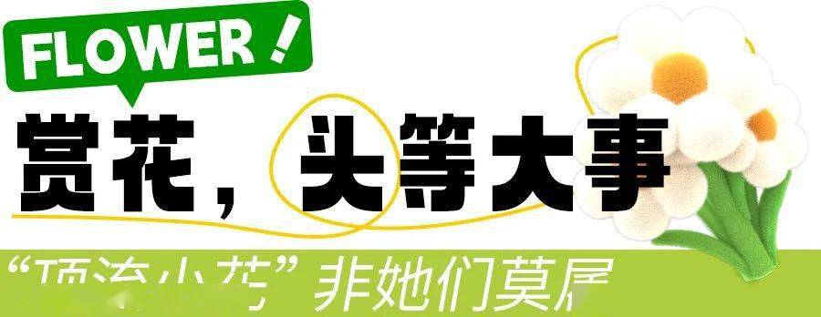 🌸飞猪视频【2024澳门资料大全免费】-汪峰恋上网红李巧，网友热议：这是真爱还是炒作？