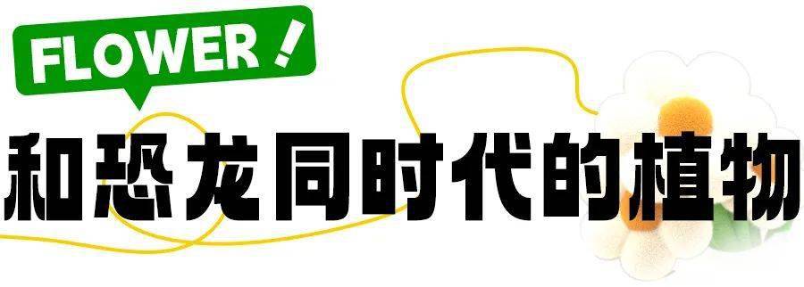 🌸电视家【今期澳门三肖三码开一码】-智能门锁电池怎么选？南孚电池有何优势？