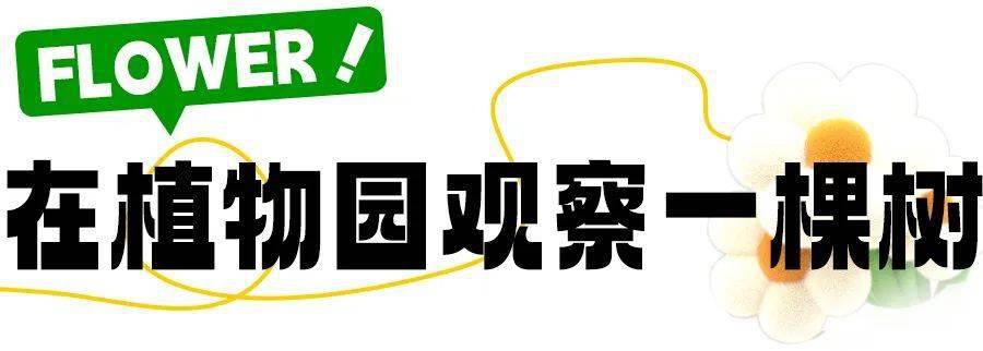 🌸京东【最准一肖一码一一子中特】-全球最大樱花基地，竟在中国！比日本绝美，即将花开成海，居然免费！  第3张