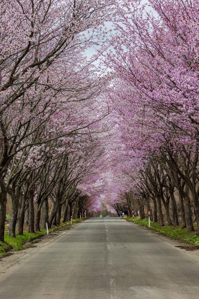 🌸京东【最准一肖一码一一子中特】-丁俊晖登场斯诺克赛事，全红婵亮相跳水世界杯，今日CCTV5直播！