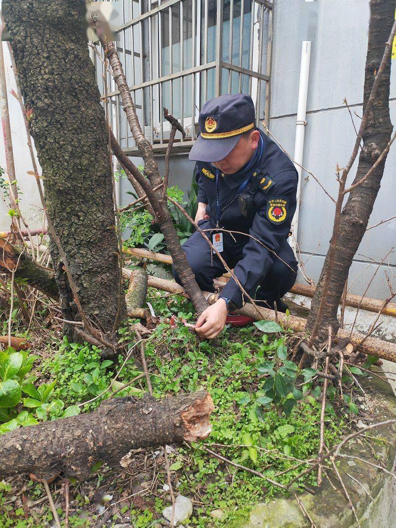 🌸猫扑电影【澳门一码一肖一特一中2024】-食品核辐射的地理分布和区域特点  第6张