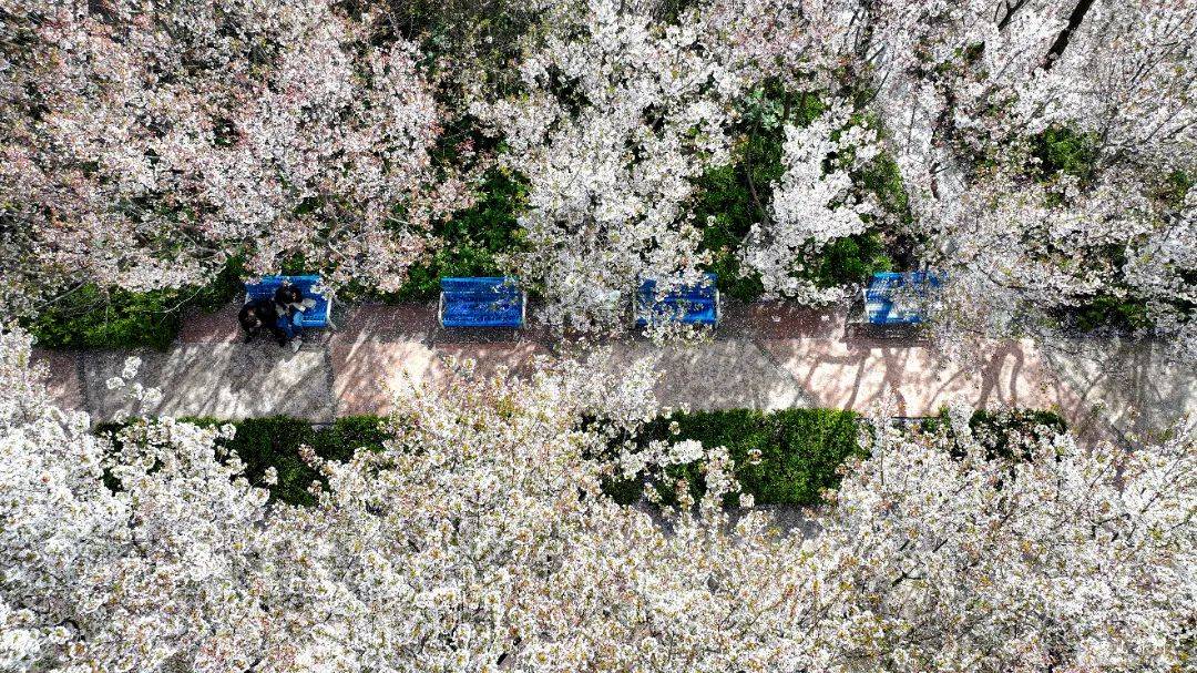 🌸飞猪视频【2024年正版免费资料大全】-威格仪器-电力测功机的优缺点  第2张