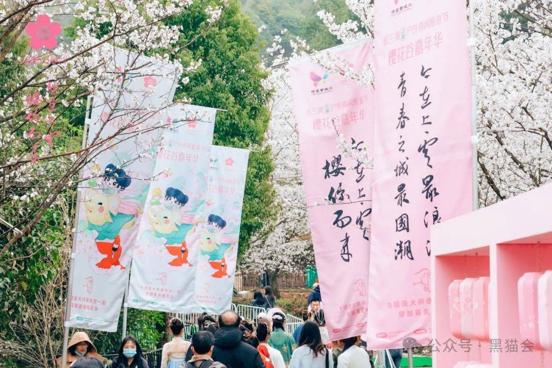 🌸美团【2023管家婆资料正版大全澳门】-五角枫2024年3月7日报价-《苗青青苗木平台》  第5张