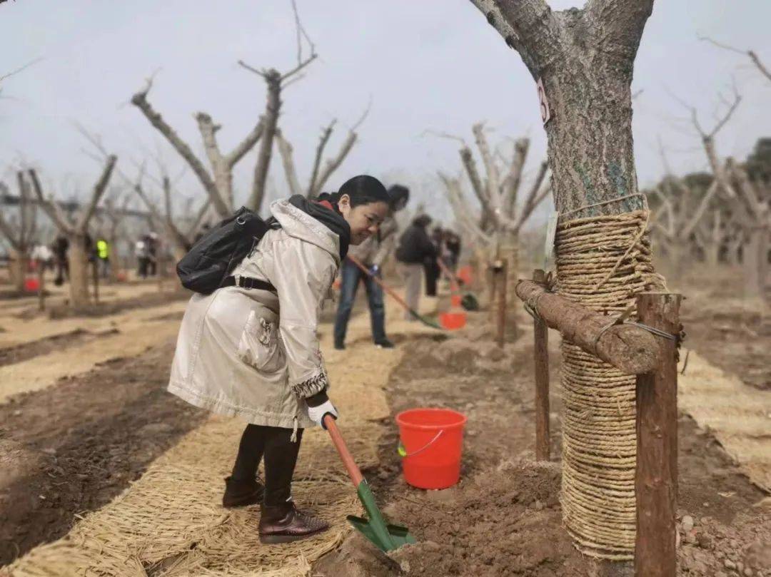 🌸影视风云【2024澳门资料大全正版资料】-宁夏发布规范市场价格行为提醒  第4张