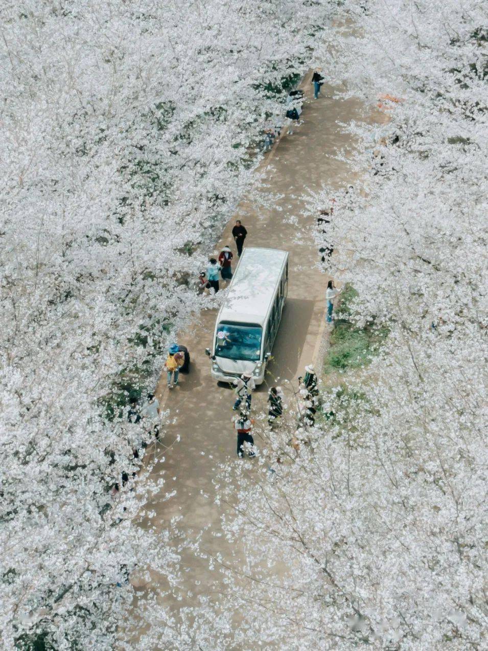 🌸京东【最准一肖一码一一子中特】-晟景文旅：生态文化景区如何规划设计？做好七个方面很关键！  第4张