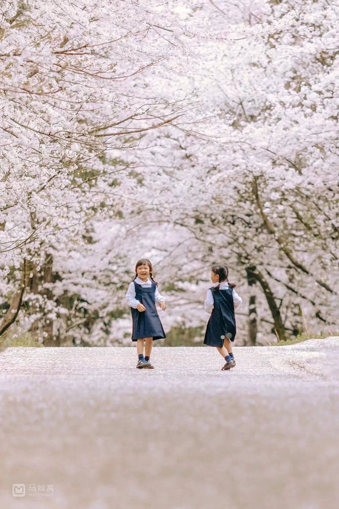 🌸腾讯【澳门六开彩天天开奖结果】-圣女果的种植方法和技术  第2张