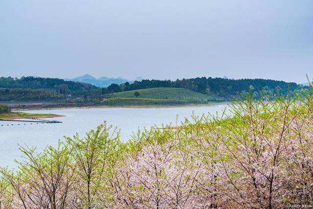 🌸虎牙【新澳门一码一肖100精确】-建议分享！美国留学艺术院校历史及介绍