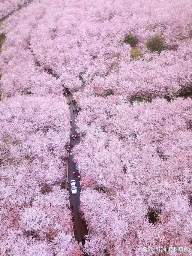 🌸电视家【今期澳门三肖三码开一码】-孟鹤堂唱歌，栾树弹钢琴伴奏，于谦正把自己的人脉介绍给干儿子  第3张