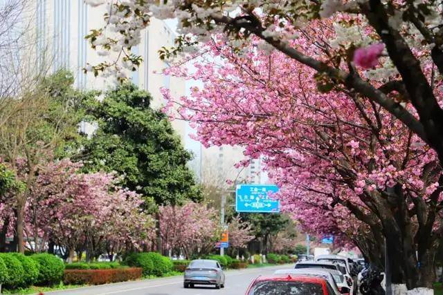 🌸腾讯【澳门六开彩天天开奖结果】-圆形鱼缸和方形鱼缸哪个风水好