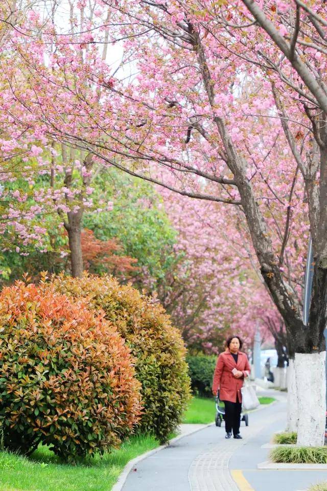 🌸飞猪视频【2024年正版免费资料大全】-德施曼智能锁紧扣社会议题，创新情感营销，联合京东引爆超级品牌日