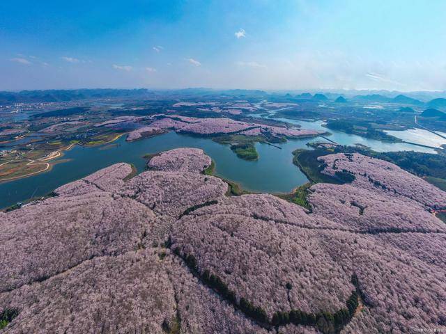 🌸凤凰视频【2024澳门天天开好彩大全】-学3d建模和原画哪个难?游戏建模和游戏动画哪个好？