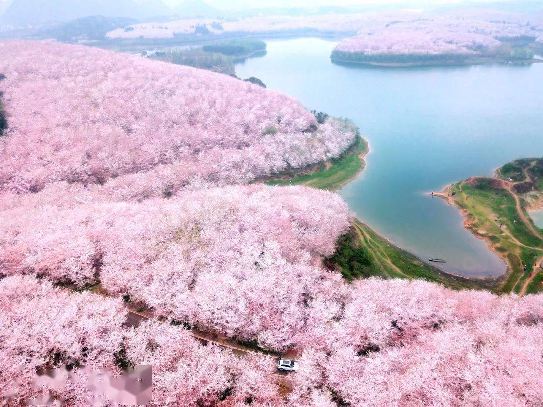 🌸飞猪视频【2024澳门资料大全免费】-去加拿大生孩子的优缺点！  第2张