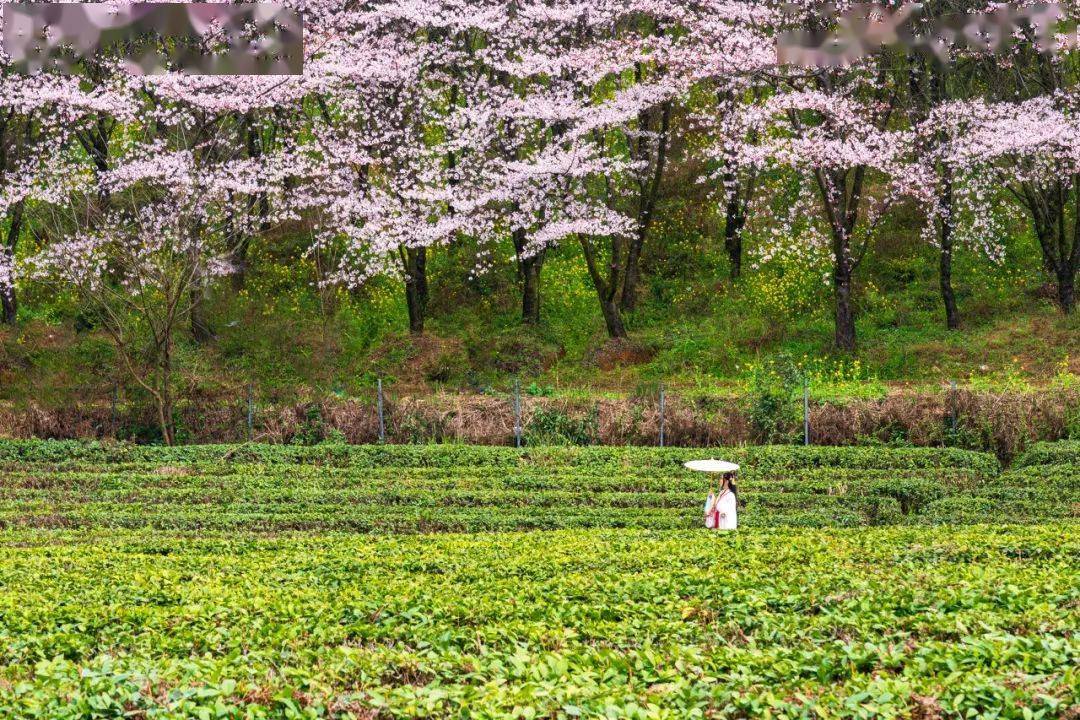 🌸趣头条【2024澳门特马今晚开奖】-道医与中医的区别