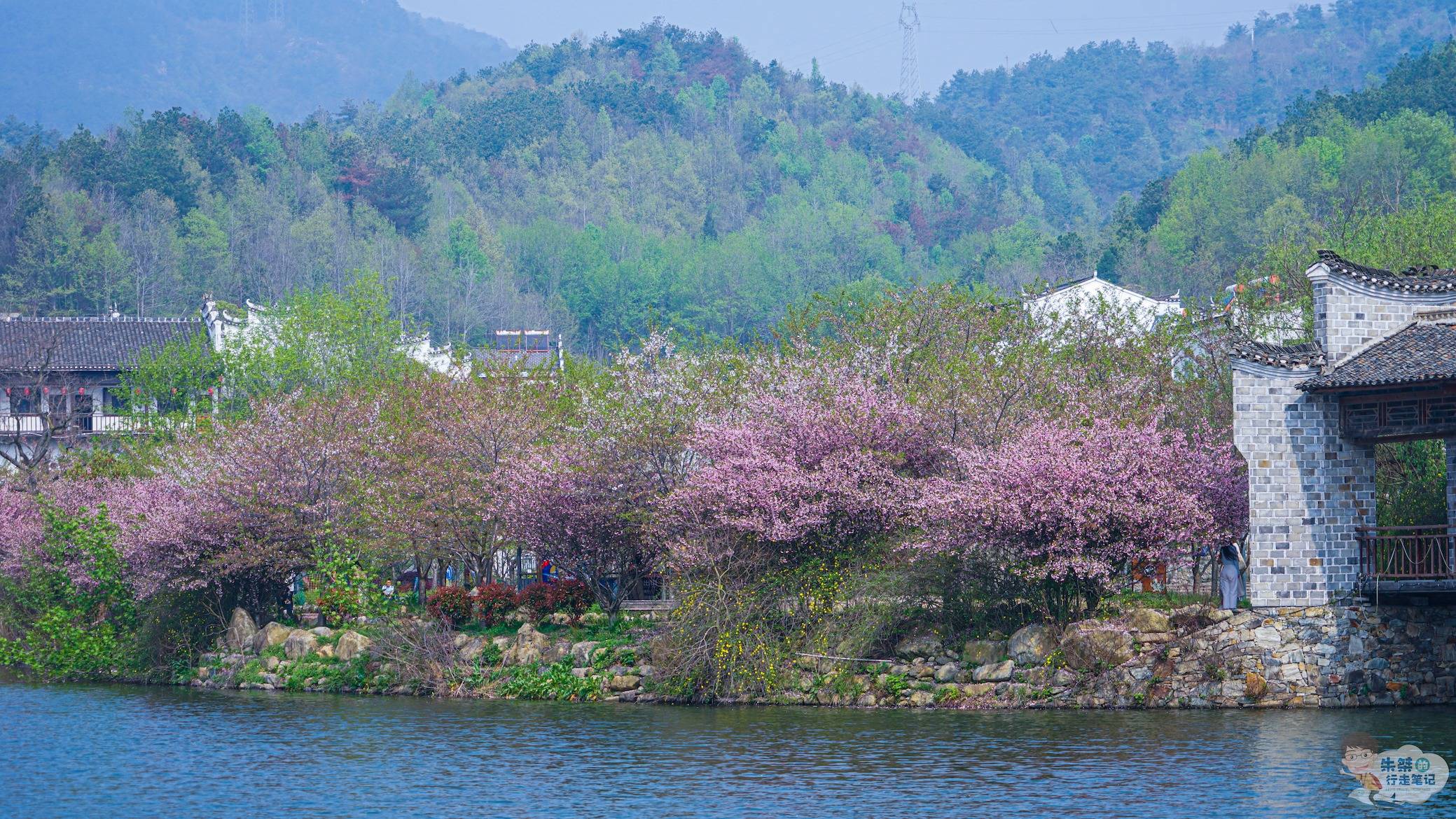 🌸网易视频【澳门一肖一码100准免费资料】-4月2日基金净值：华安信用四季红债券A最新净值1.0535，涨0.05%  第2张