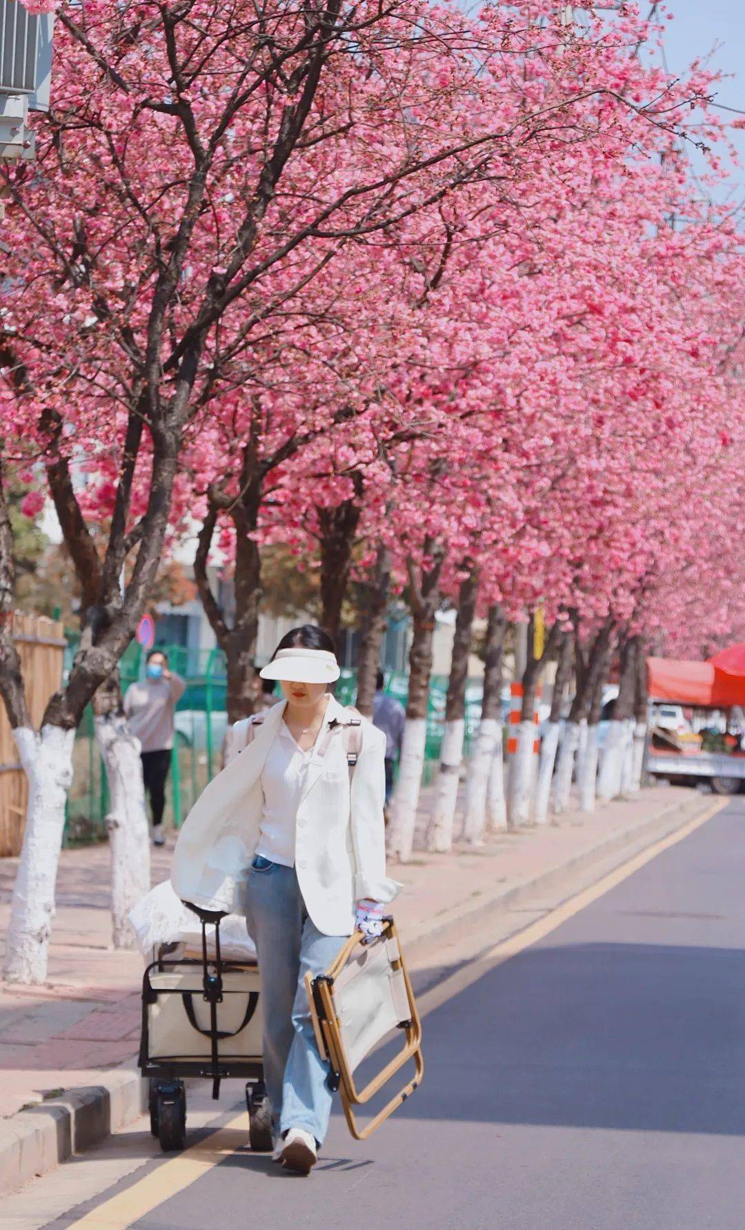 🌸好看视频【2024新奥历史开奖记录香港】-南京茀莱堡口腔医院：高血压能种牙吗