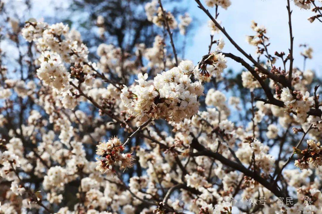 🌸酷我音乐【2024一肖一码100精准大全】-女子冰球世锦赛：中国女冰重返顶级组 首战击败日本